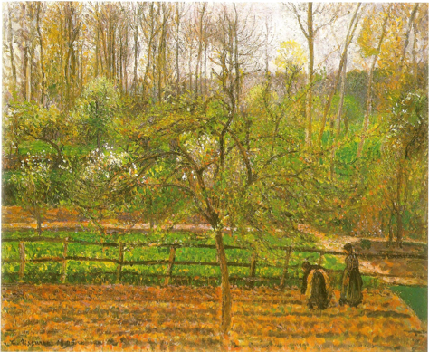 Peggy Creelman